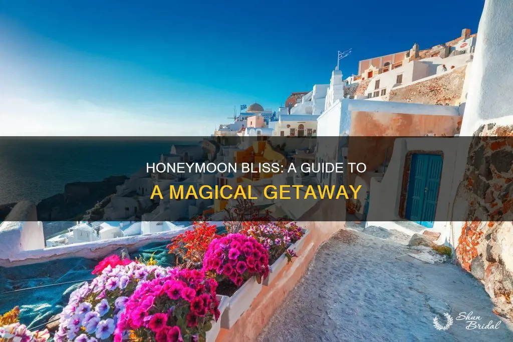 have a wonderful honeymoon
