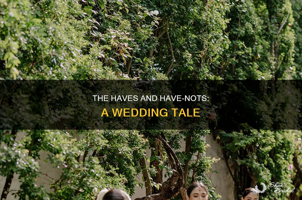 have and have nots wed