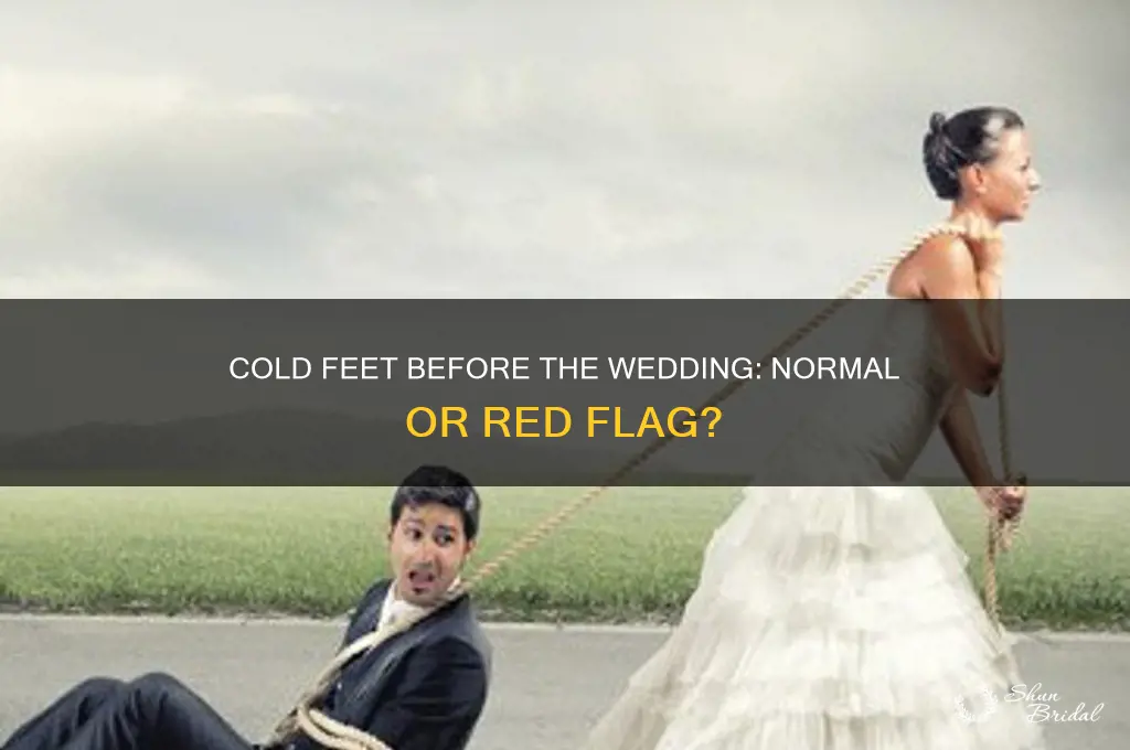 have cold feet before wedding