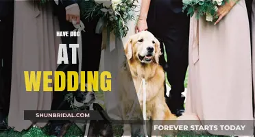 Involving Your Dog in Your Wedding Day
