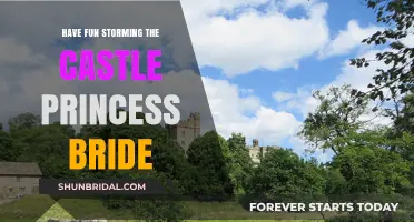An Epic Adventure: Storming the Castle in Princess Bride