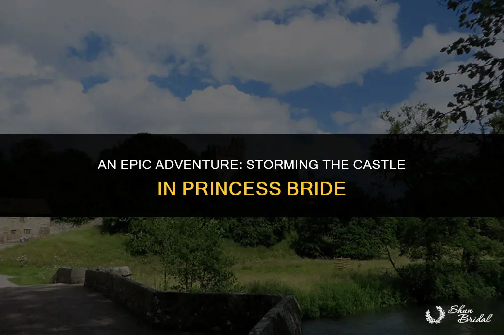 have fun storming the castle princess bride