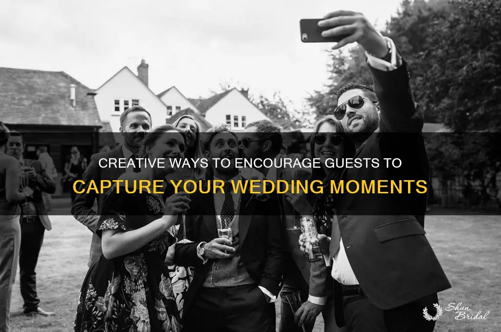 have guests take pics in wedding