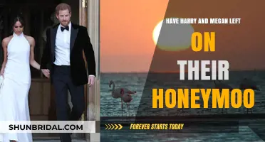 Harry and Meghan's Honeymoon: Have They Finally Escaped for Romance?