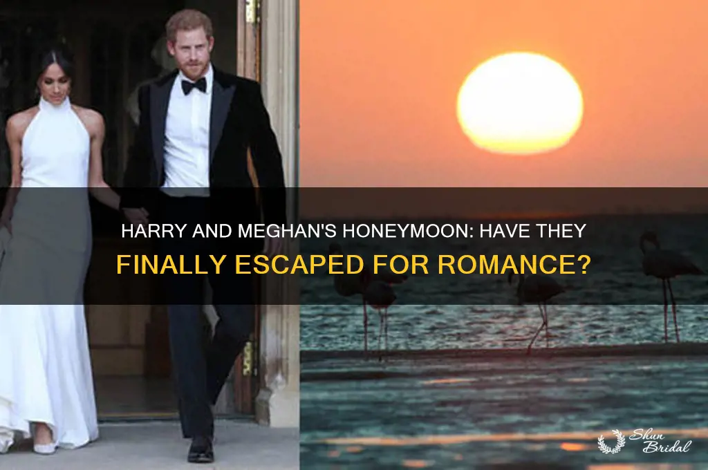 have harry and megan left on their honeymoon