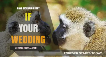 Incorporate Monkeys into Your Wedding for a Wild Celebration