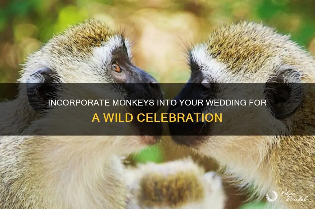 have monkeyds part if your wedding