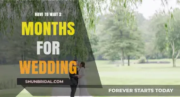The Long Wait: Our Wedding, Two Months Later