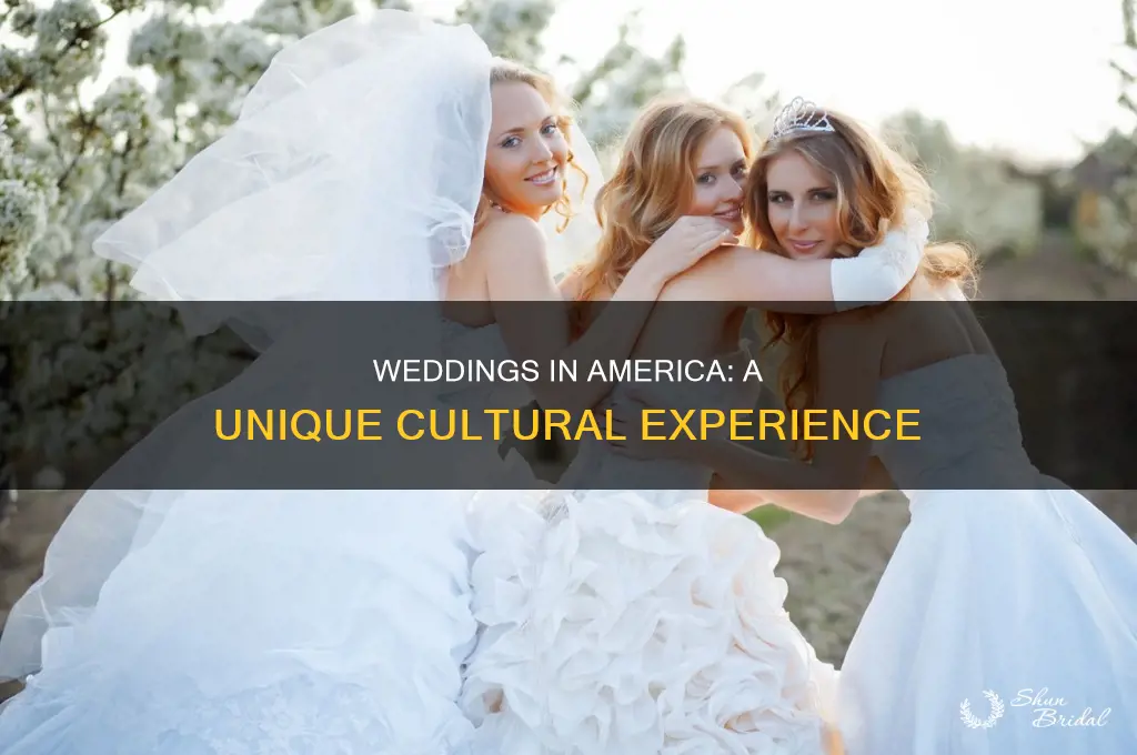 have you been to american wedding
