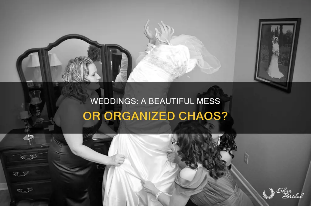 have you ever been to a wedding ielts