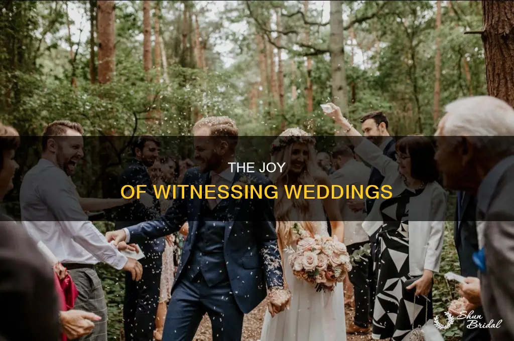 have you ever been to a wedding