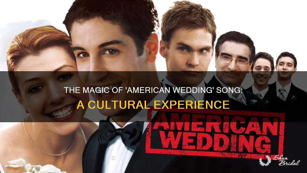 have you ever been to an american wedding song