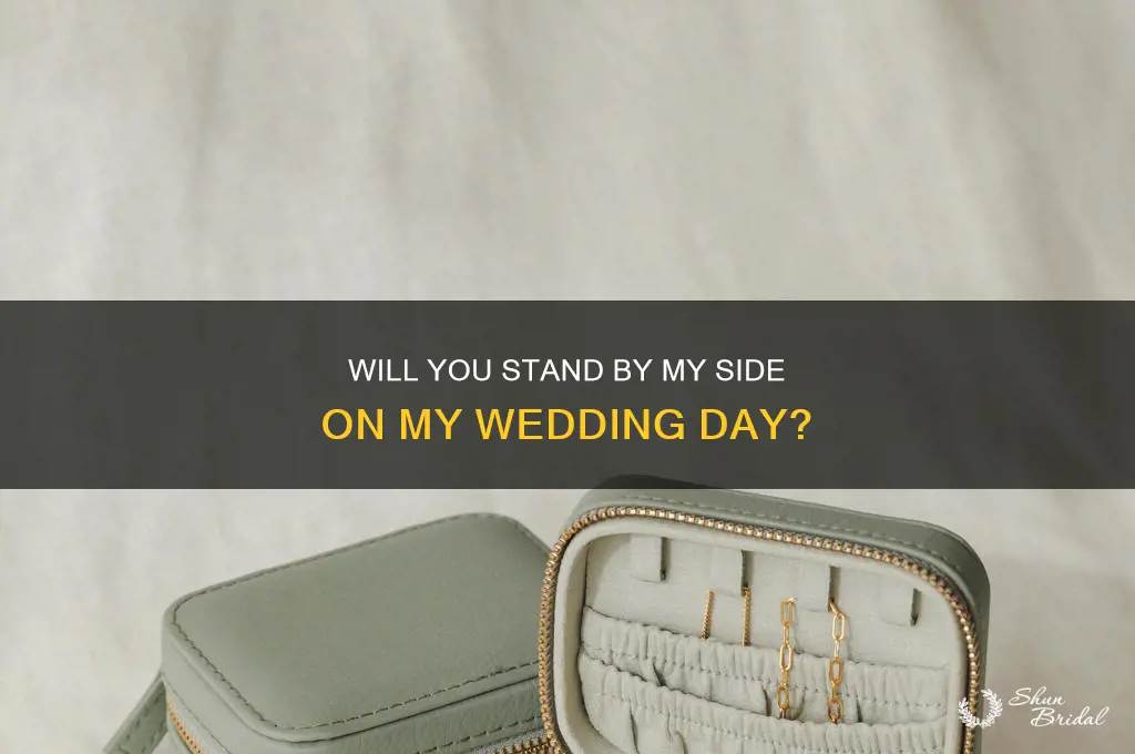 have you my side on my special day wedding