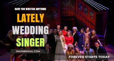 The Wedding Singer's Creative Writing Journey