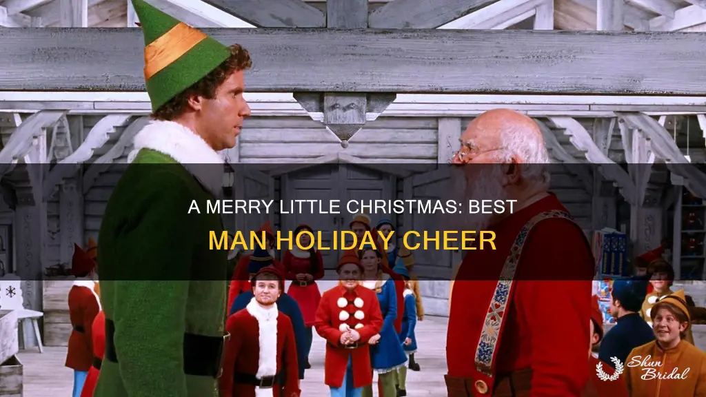 have yourself a merry little christmas best man holiday