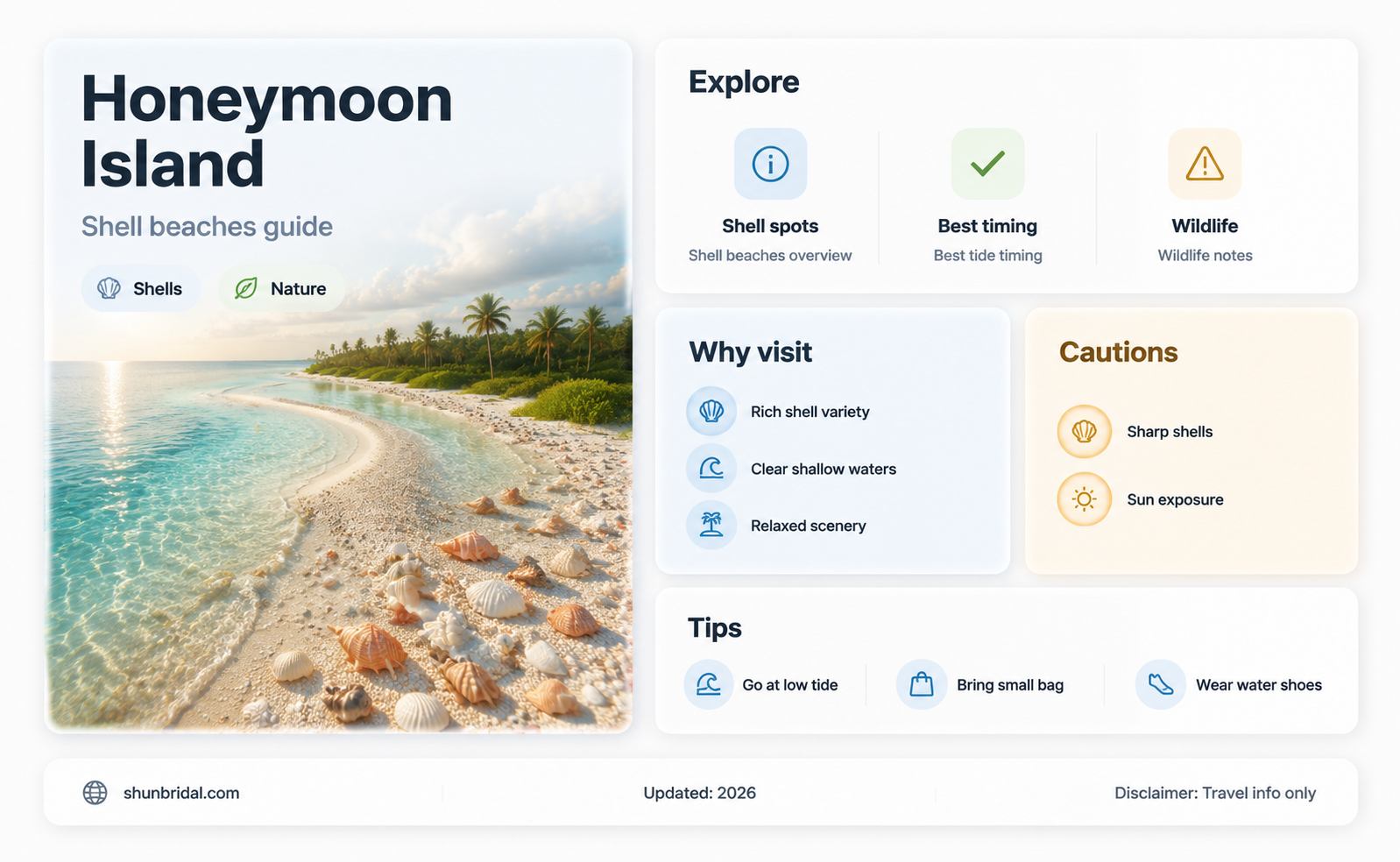 are there shells on honeymoon island