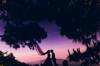 honeymoon