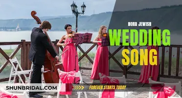 The Hora Jewish Wedding Song: A Cultural Phenomenon