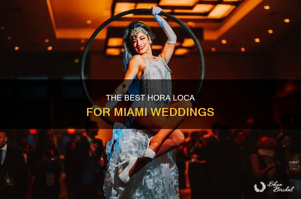 hora loca for weddings miami