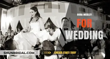 Hora Medley: The Ultimate Wedding Dancefloor Filler