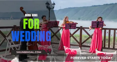 Hora Song Magic: Perfect Wedding Tunes