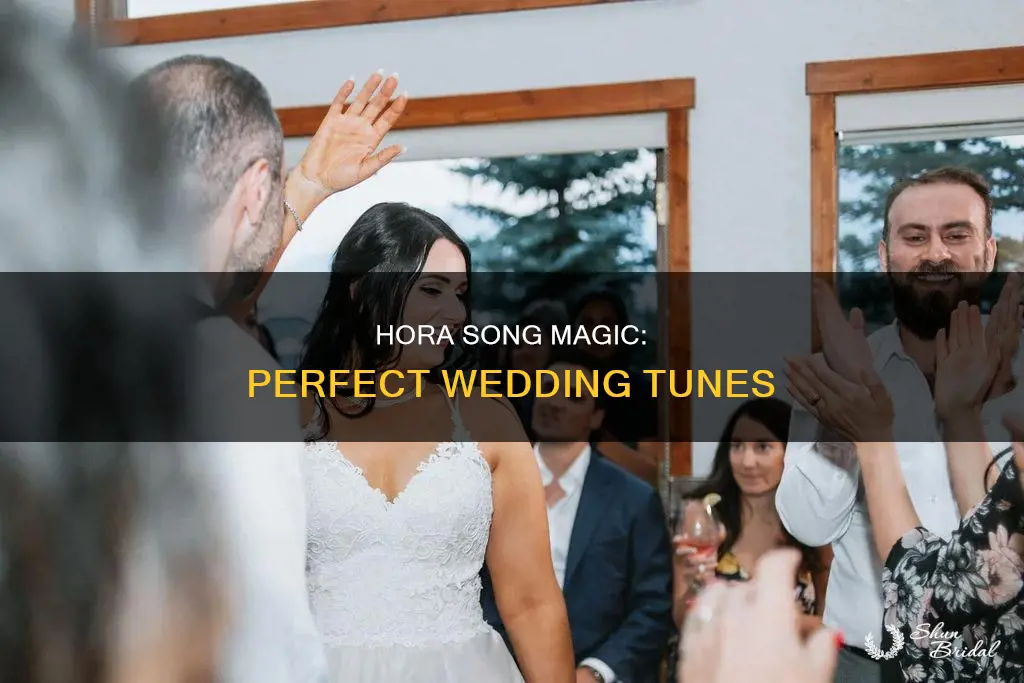 hora song for wedding