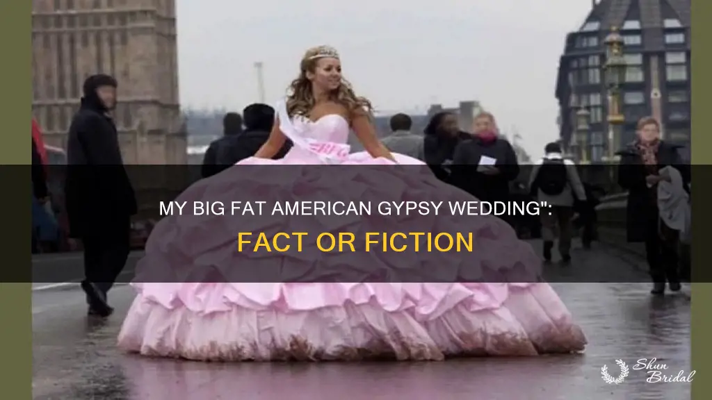 how accurate is my big fat american gypsy wedding