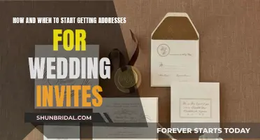 Timing Tips for Collecting Wedding Guest Addresses