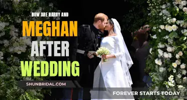 Harry and Meghan's Post-Wedding Life