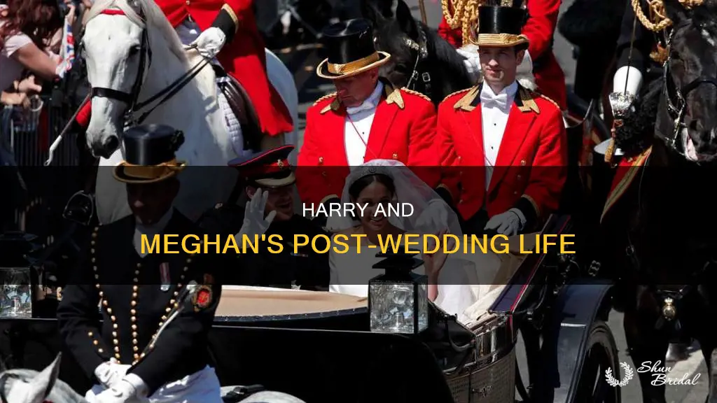 how are harry and meghan after wedding