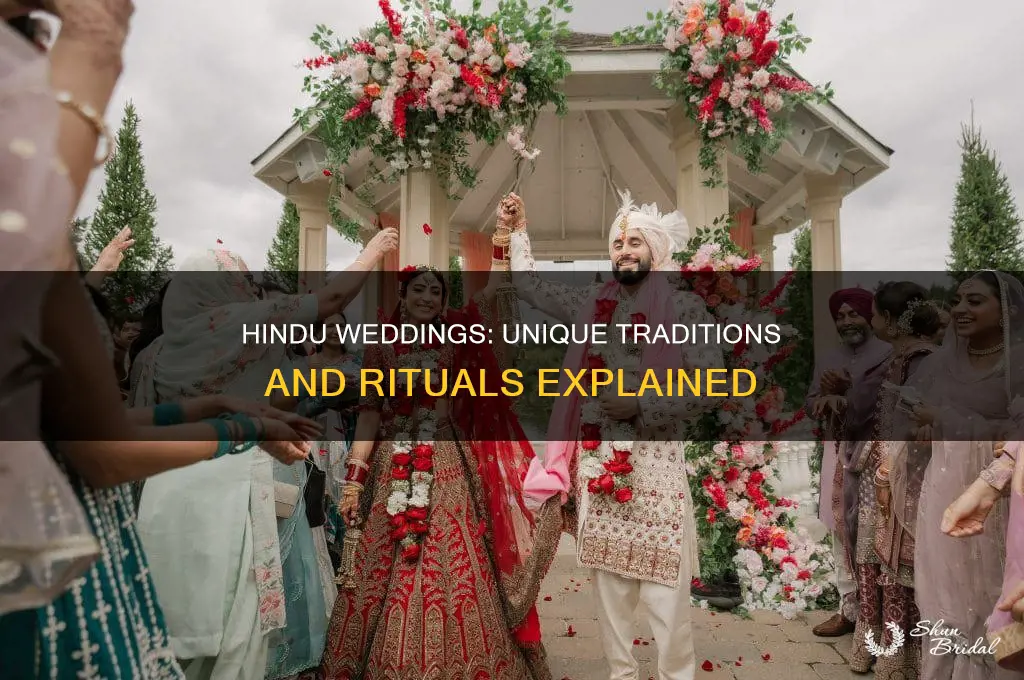 how are hindu wedding different