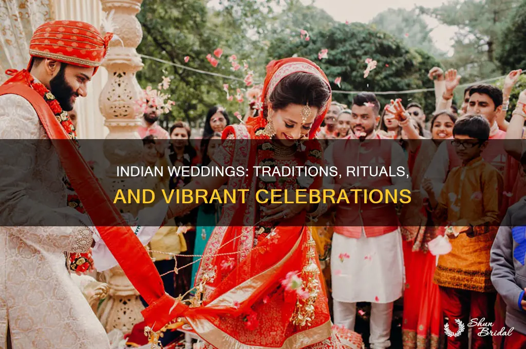 how are indian weddings celebrated