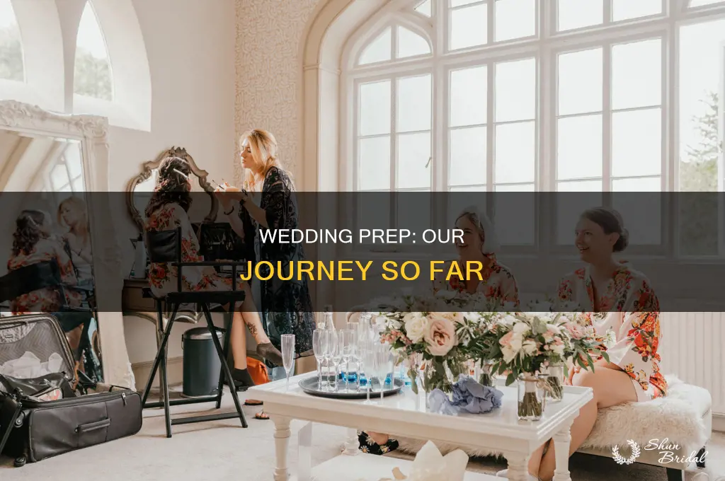 how are the wedding preparations coming along