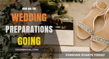 Wedding Countdown: Tracking Progress and Perfecting Every Detail