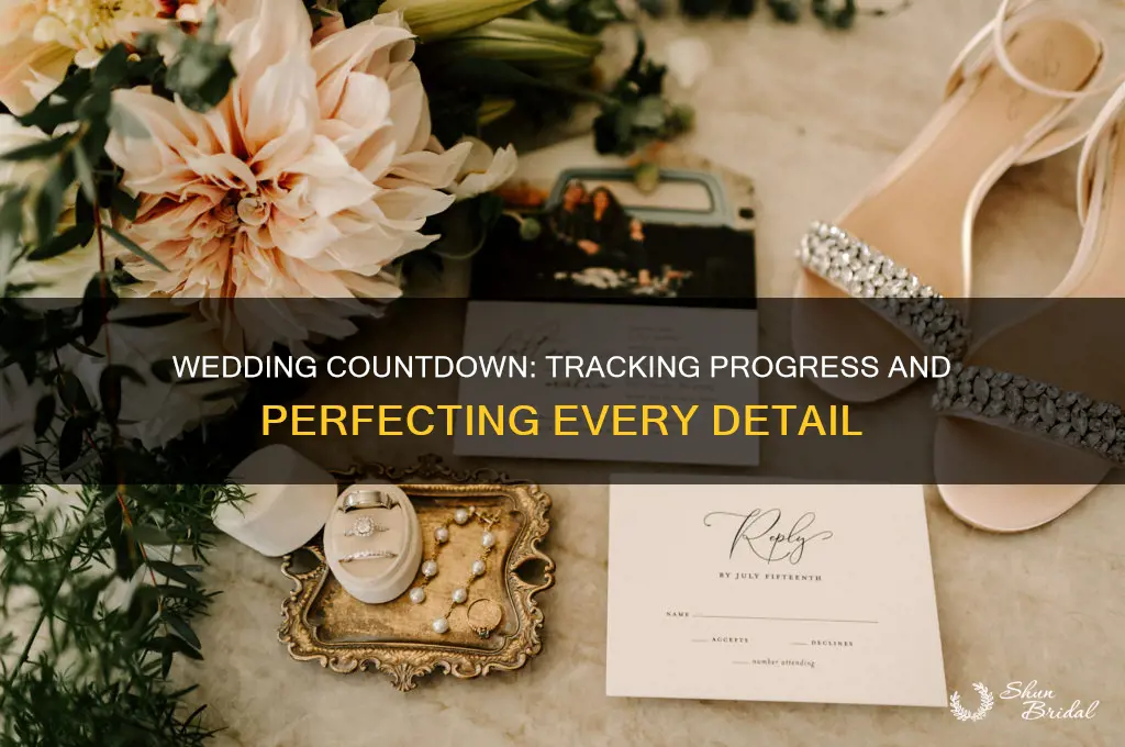 how are the wedding preparations going