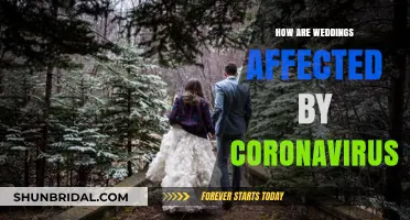 Weddings Amidst COVID-19: Adapting to the New Normal