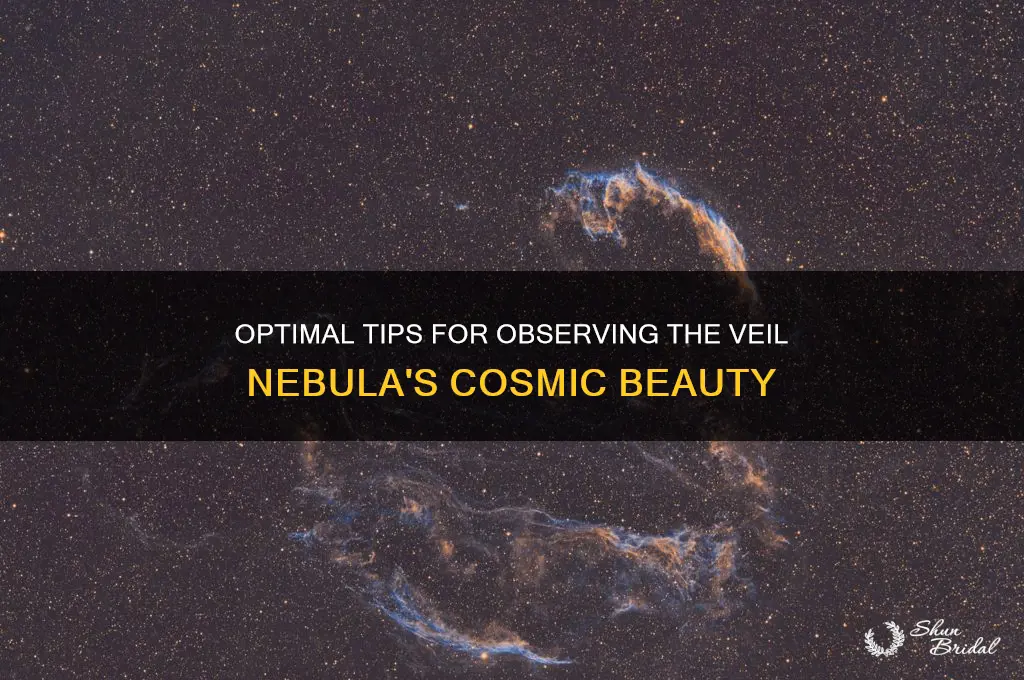 how best to view the veil nebula