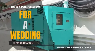 Choosing the Right-Sized Generator for Your Wedding