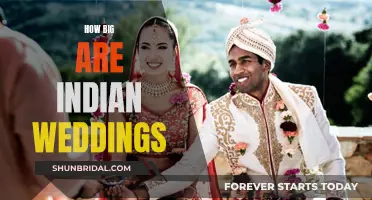 The Extravagant Extent of Indian Weddings