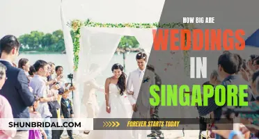 The Great Singapore Wedding Extravaganza