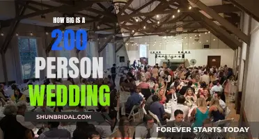 Massive or Modest: Planning a 200-Person Wedding