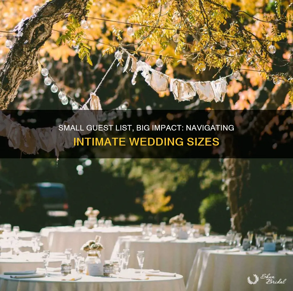 how big is an intimate wedding