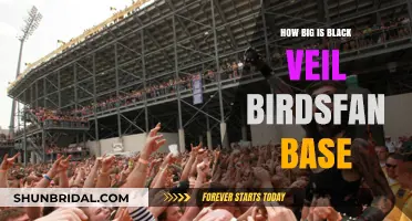 Exploring the Massive Global Fan Base of Black Veil Brides