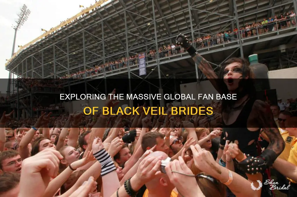 how big is black veil birdsfan base