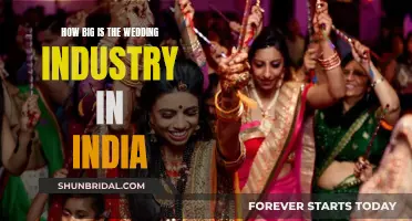 The Billion-Dollar Shaadi Business: Unveiling India's Wedding Industry