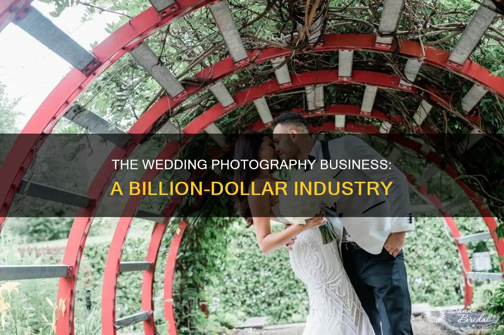 how big is the wedding photography business