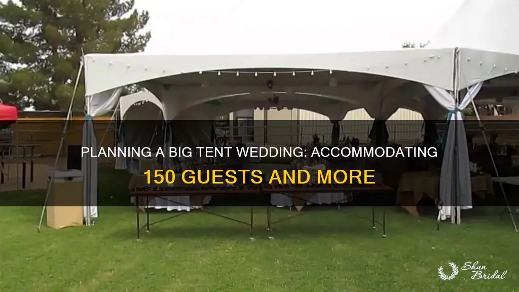 how big tent wedding 150