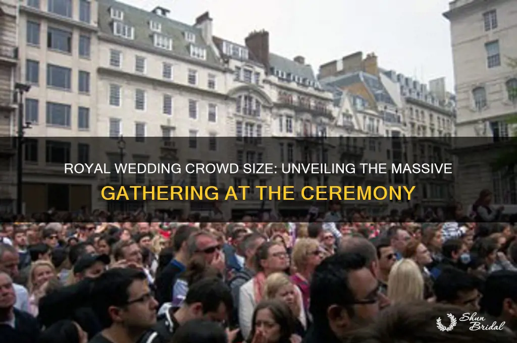 how big was crowd at royal wedding