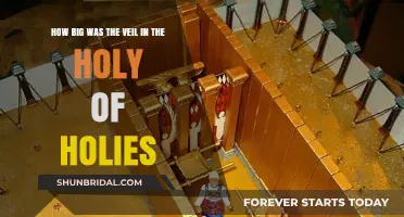 Unveiling the Mystery: The Holy of Holies' Veil Size Explored