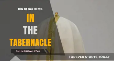 Unveiling the Tabernacle: Exploring the Size of the Veil's Mystery